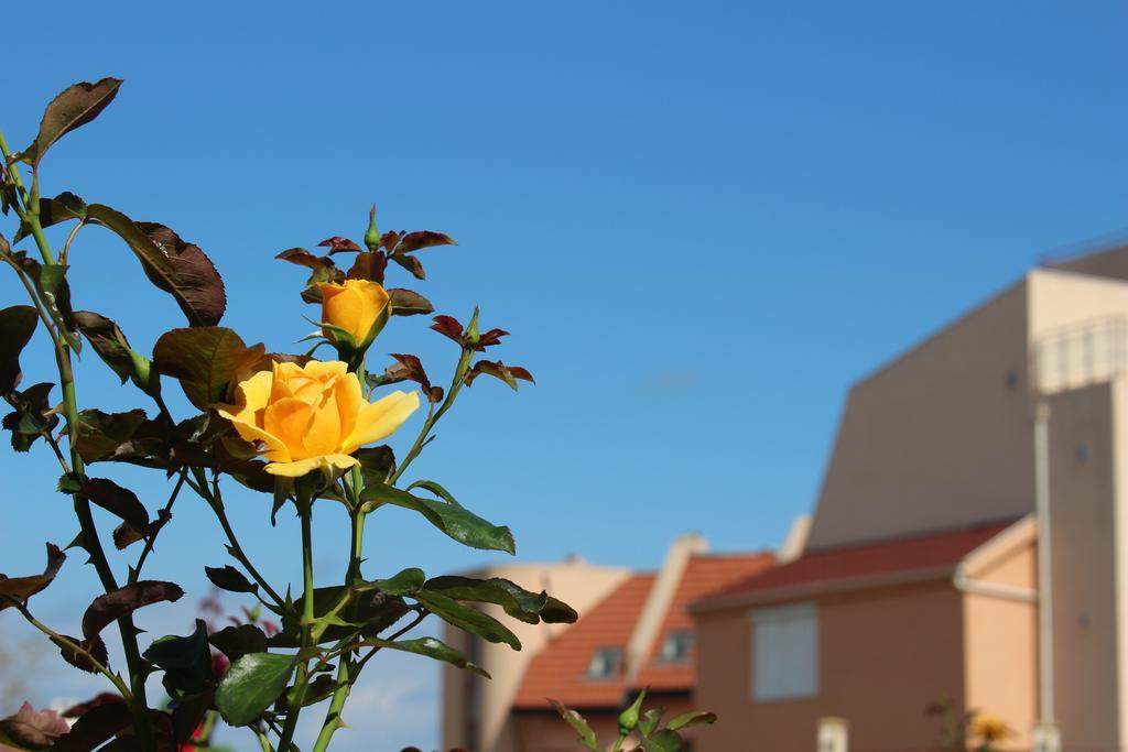 Hotel Hera Sozopol Bagian luar foto